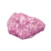 Rose Molly